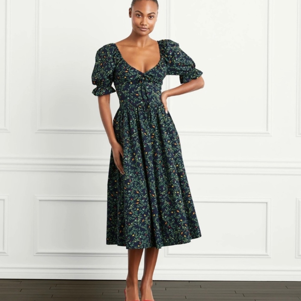 Hill House Ophelia Dress in Midnight Garden Print - RARE!